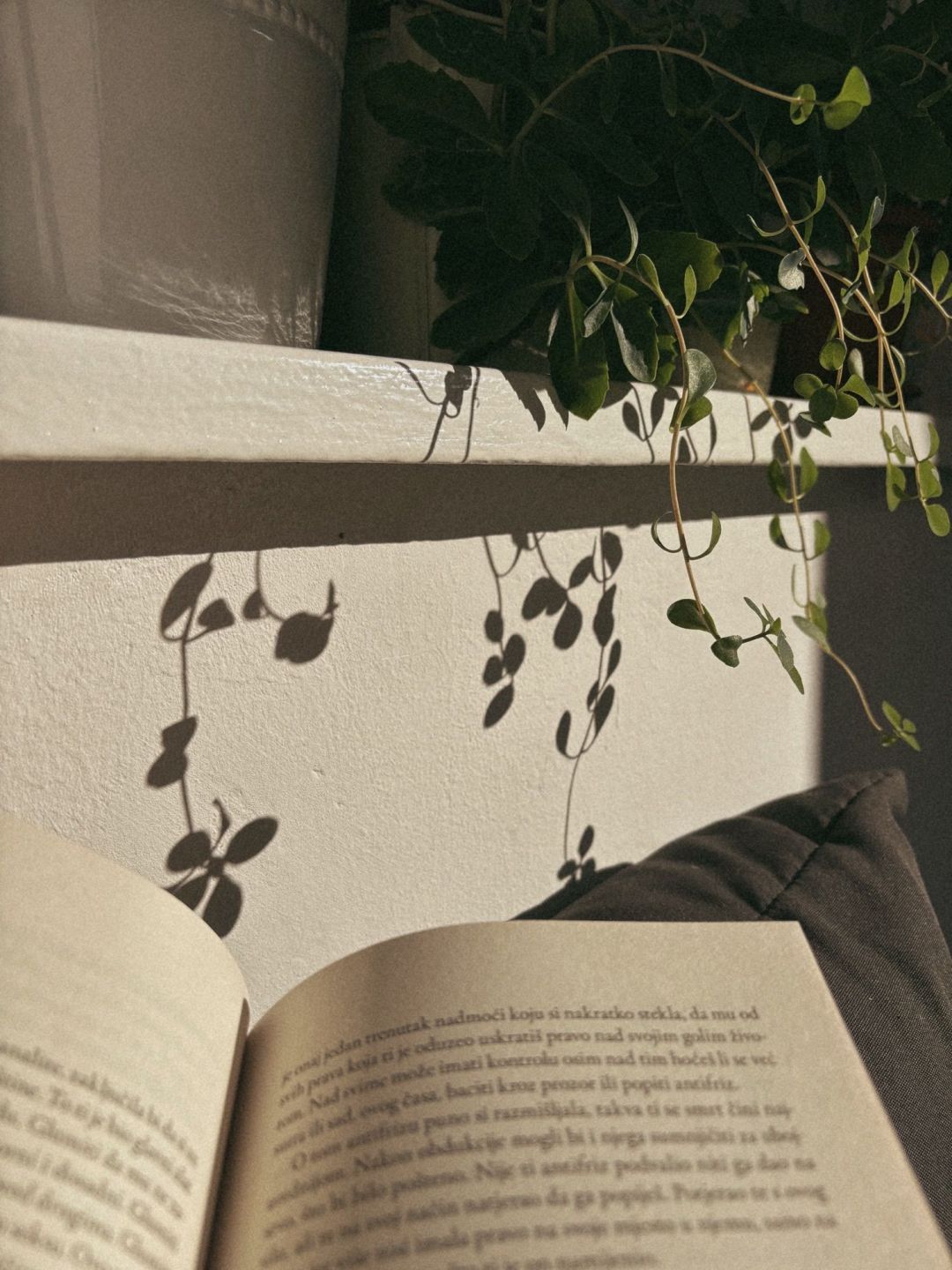 knjiga poezija sunce